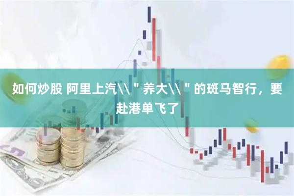 如何炒股 阿里上汽\＂养大\＂的斑马智行，要赴港单飞了