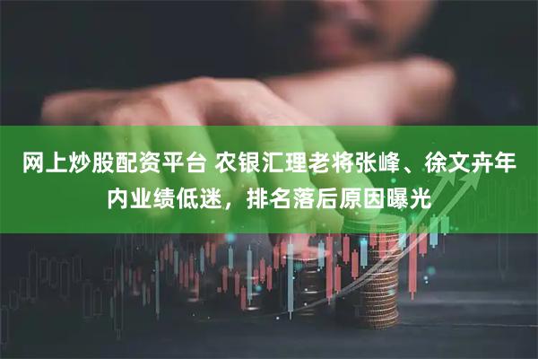 网上炒股配资平台 农银汇理老将张峰、徐文卉年内业绩低迷，排名落后原因曝光