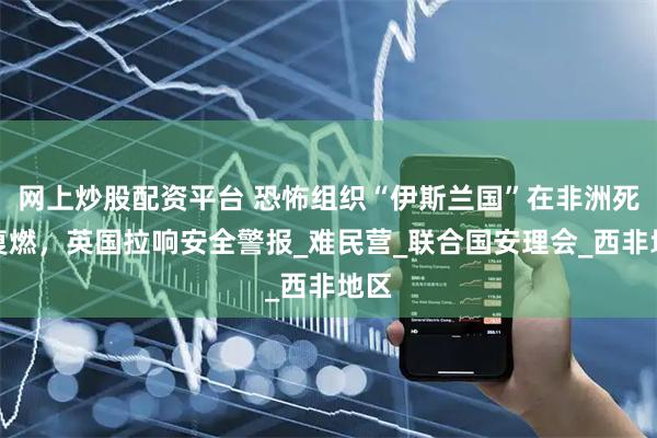 网上炒股配资平台 恐怖组织“伊斯兰国”在非洲死灰复燃，英国拉响安全警报_难民营_联合国安理会_西非地区