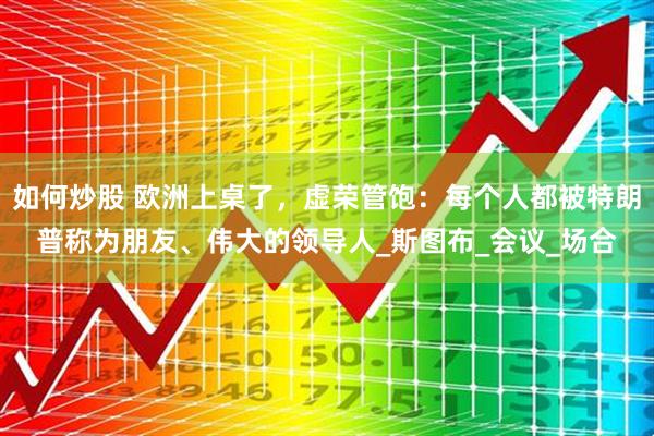 如何炒股 欧洲上桌了，虚荣管饱：每个人都被特朗普称为朋友、伟大的领导人_斯图布_会议_场合