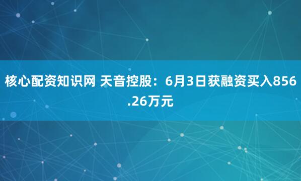 核心配资知识网 天音控股：6月3日获融资买入856.26万元